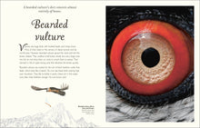 Load image into Gallery viewer, Anthology Birds