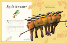 Load image into Gallery viewer, Anthology Birds