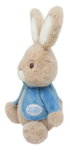 Load image into Gallery viewer, Beatrix Potter - Peter Rabbit Beanbag