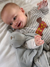 Load image into Gallery viewer, LOVEY BUNNY: Lucy