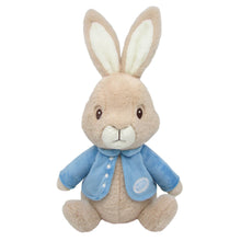 Load image into Gallery viewer, Beatrix Potter - Peter Rabbit Beanbag
