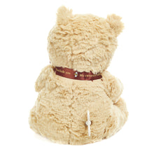 Load image into Gallery viewer, Disney Classic Pooh Waggie Musical
