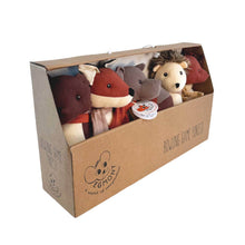 Load image into Gallery viewer, Forest Bowling Game
