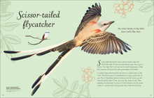 Load image into Gallery viewer, Anthology Birds
