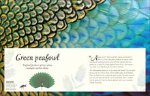 Load image into Gallery viewer, Anthology Birds
