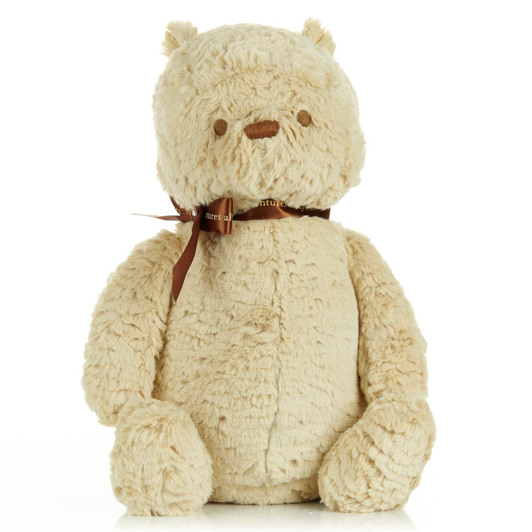 Disney Classic Pooh  Large 18