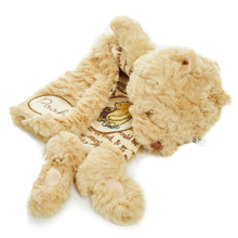 Load image into Gallery viewer, Disney Classic Pooh Blankey
