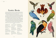 Load image into Gallery viewer, Animalium
