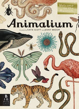 Load image into Gallery viewer, Animalium
