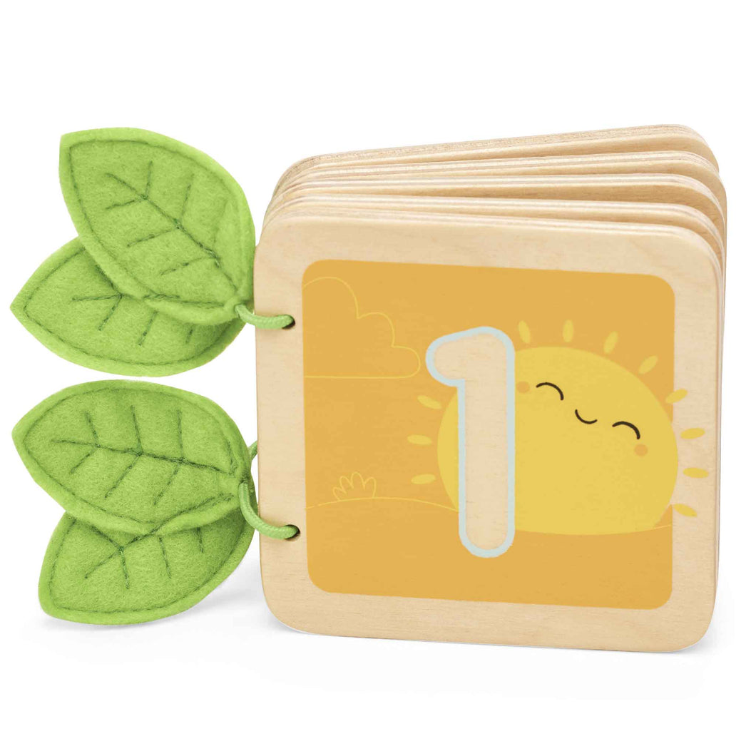 123 Number Counting Book