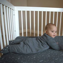 Load image into Gallery viewer, FW25 LONG SLEEVE FOOTIE SLEEP BAG: Goose / 3-6M / 1.0
