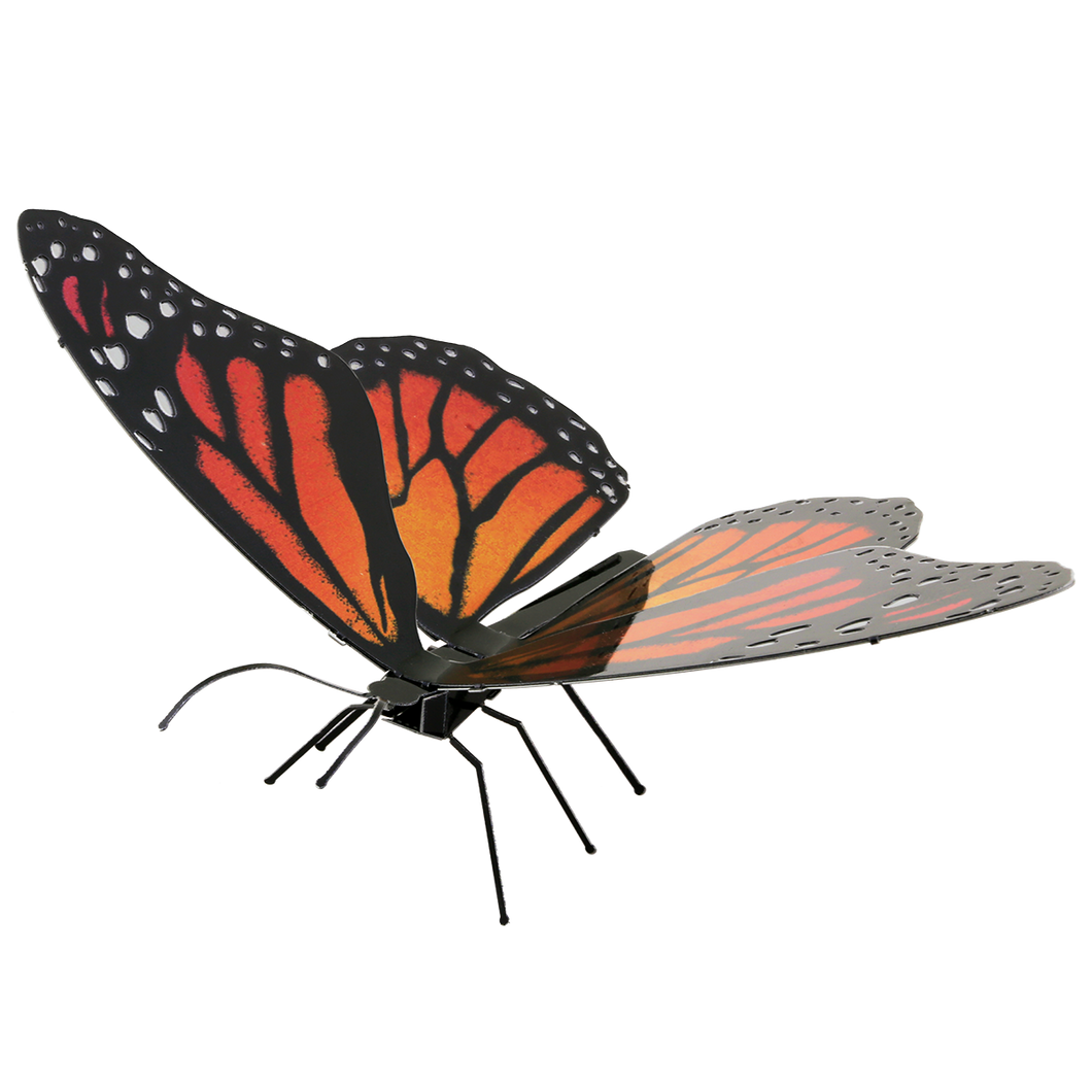 Monarch-Butterfly - COLOR